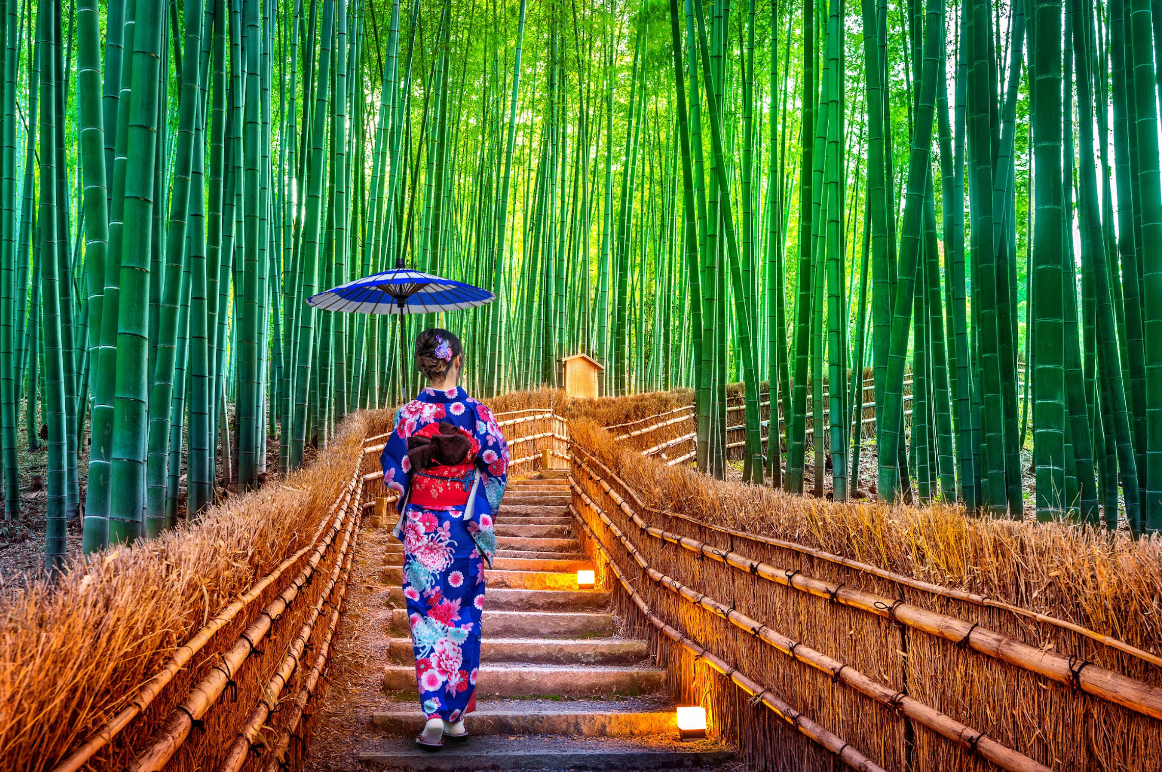 Uzak Doğu’nun masalsı diyarı JAPONYA